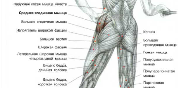 Махи ногой в сторону с нижнего блока