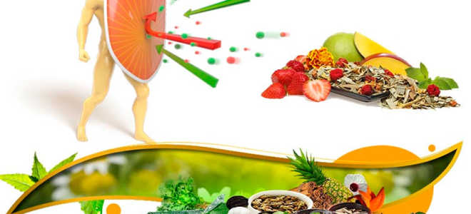 Как повысить иммунитет — ТОП продукты