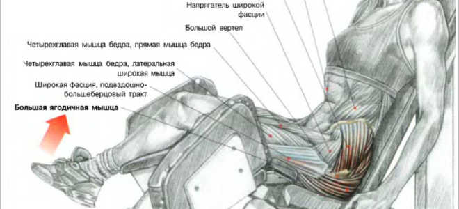 Разведение ног на тренажере